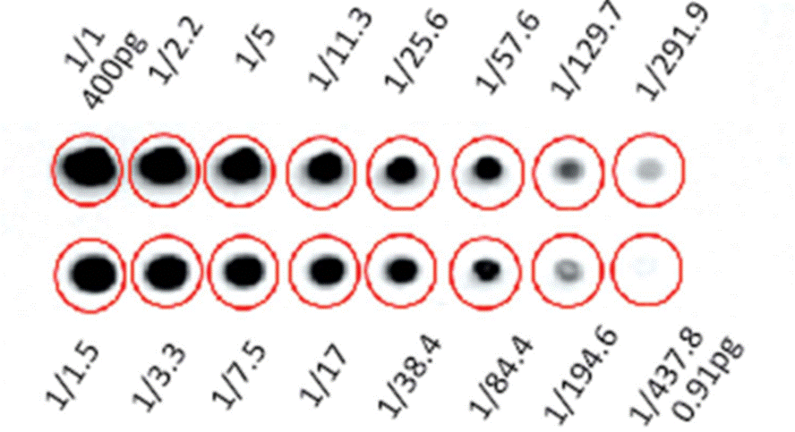 image-4 イメージングソリューション