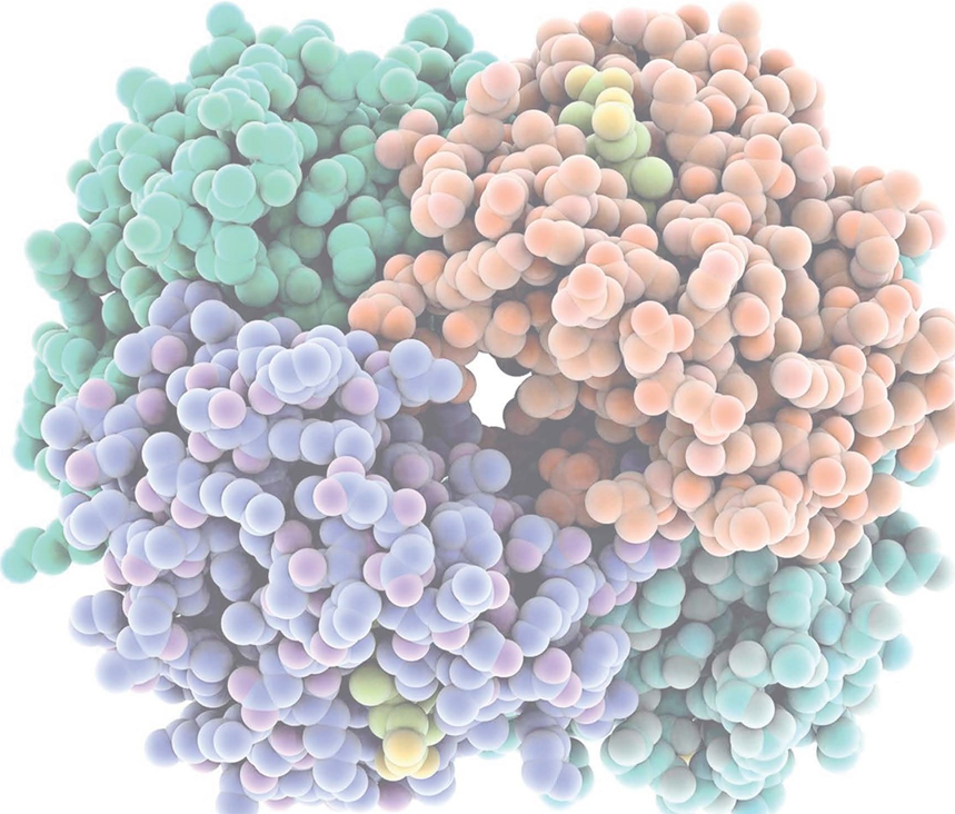 image イメージングソリューション